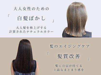 ウニコ(unico)の写真