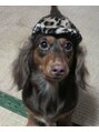 ジーナ 大宮(Zina) 犬好きです♪