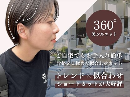 アントワープヘアー(Antwerp hair)の写真
