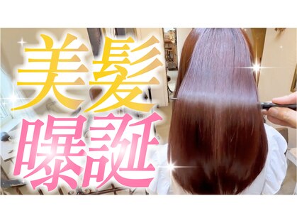 エバーグリーン(evergreen)の写真
