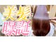 エバーグリーン(evergreen)の写真