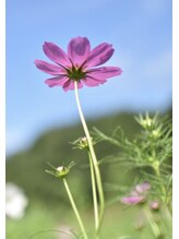 美容室 ひだまり&nbsp;kasai 