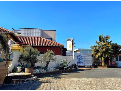 フェニーチェ(fenice international hair salon)の写真