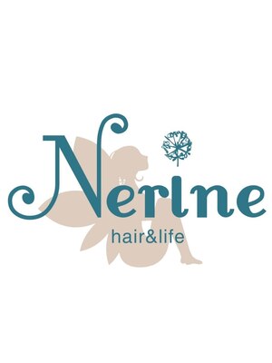 ネリネ きてみてまつど通り店(Nerine)