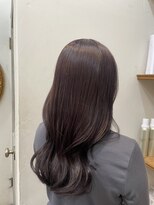 ゴーシェン 稲毛店(Goshen)&nbsp;ラベンダー