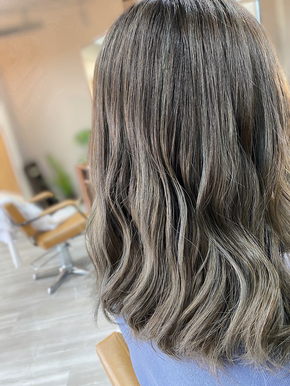 クレイツ バレイヤージュ ブロワープロ シルバー CIAIR-BG01S クレイツ バレイヤージュ ブロワープロ シルバー CIAIR-BG01S