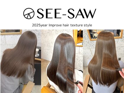 シーソー(SEE-SAW)の写真
