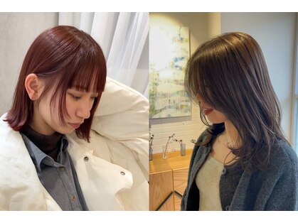 エフェスト 二条店(efesto)の写真