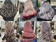 ラピス 千葉(Lapis)の写真/トレンド発信サロンが誇るこだわりの技術でイメチェン♪丁寧なカウンセリングで理想の“神カラー”が叶う★