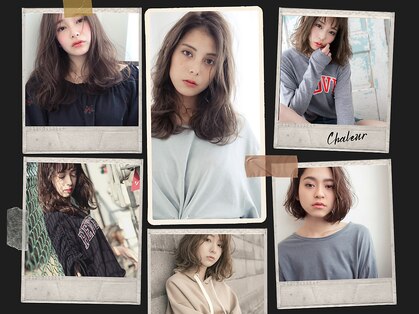 シャルール 新鎌ヶ谷(Chaleur)の写真