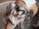 ムル 大口(muru)の写真/【極上泡スパが大人気】marbb×極上スパで癒しのリラックスタイムをご提供◎頑張っている自分へのご褒美に
