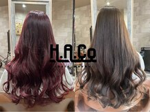 ハコ(H.A.Co)の雰囲気（お待ちしております。）