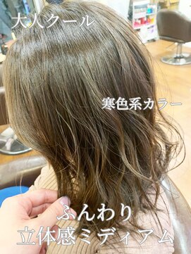 美容室 メザミー MESAMIES 20代30代大人クール寒色系カラーふんわり立体感ミディアム