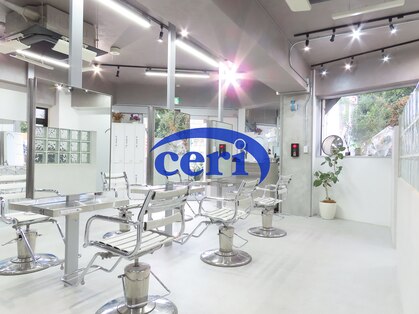 セリ(ceri)の写真