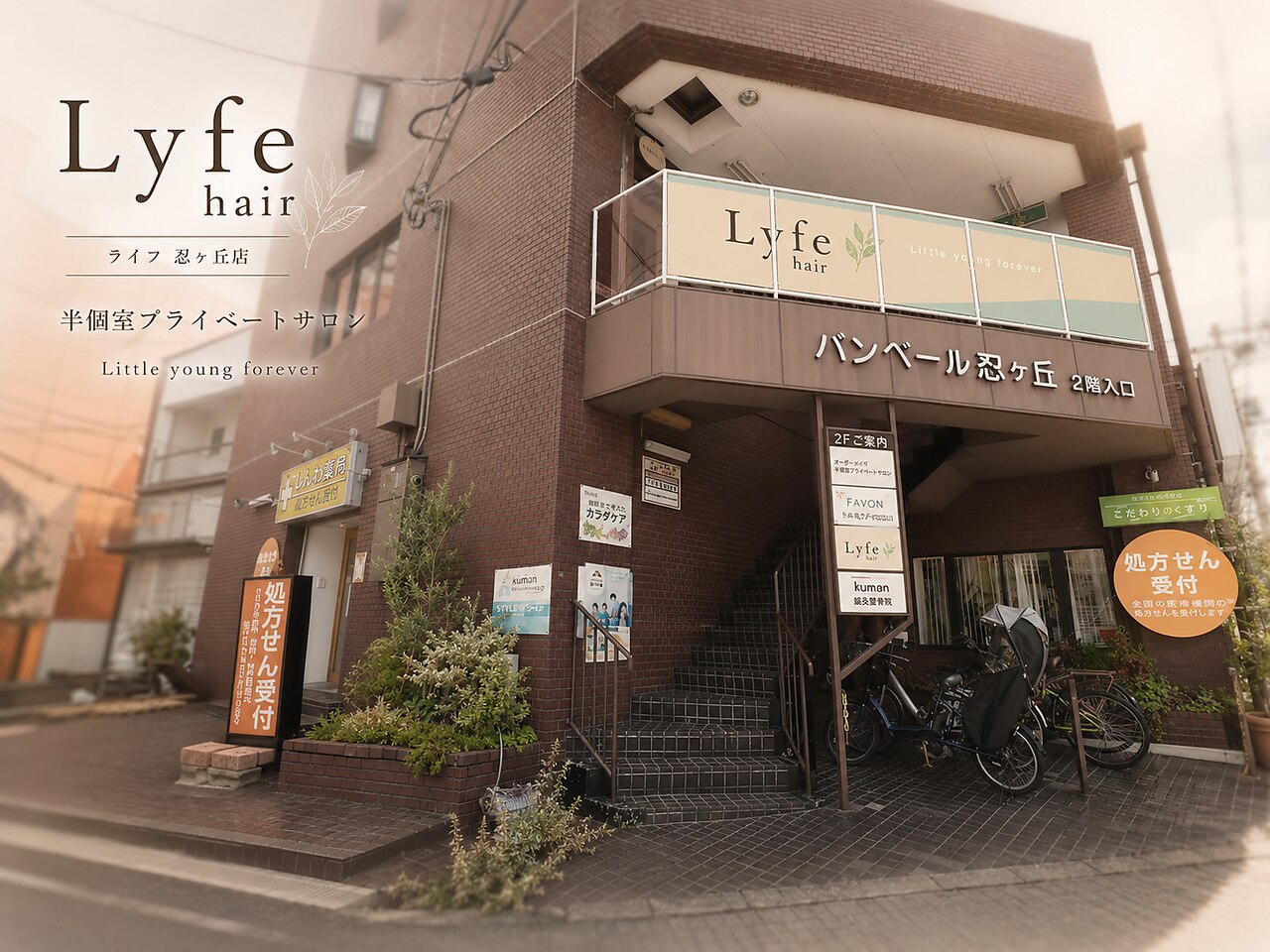 ライフ 忍ケ丘店(Lyfe)｜ホットペッパービューティー