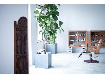 ひと席だけ美容室　ケルン　世田谷　上野毛