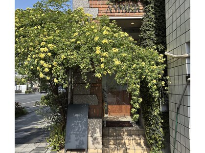 アンバー(AMBER)の写真