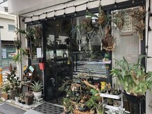 レイテンゴインチ(0.5inch)の雰囲気（店内外たくさんの植物があります。）