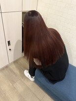 シェミール(CHEMIR)&nbsp;ワインレッド/髪質改善