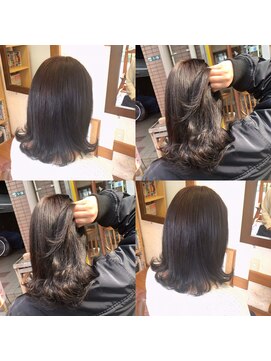 ヘアーズケアーフォルテ iNOAカラー