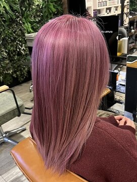 インデペンデンス(independence) ピンクラベンダー