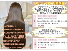 トトサ ルティア(TOTOSA Rutia)