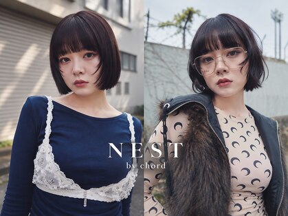 ネストバイコード(NEST by chord)の写真