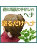 《《《　塗るだけヘナ  》》》