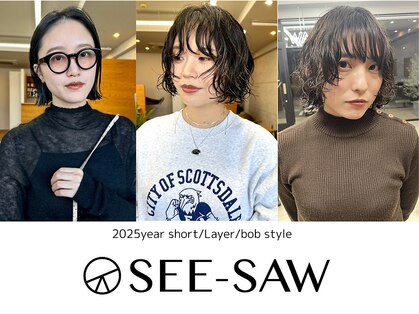 シーソー(SEE-SAW)の写真
