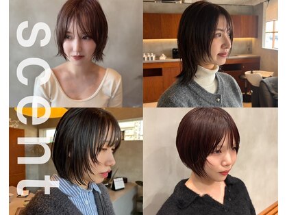 セント(scent)の写真