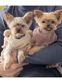 トッカ 船橋南口店(tocca) ヨークシャーテリア二匹飼ってます！