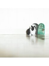 Q他の美容院の画像（SNS等）を出してもいいですか？やりたいスタイルが決まっていない状態でもいいですか？