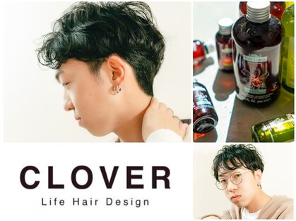 クローバー(CLOVER)の写真