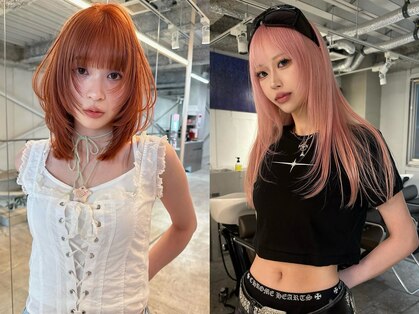 フェブ(fev)の写真