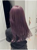 Lavender rose / ラベンダーローズ