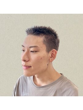 サロン(SALON) シルバー短髪