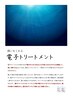 電子トリートメント+ヘアリセッター＋ほぐしシャンプー