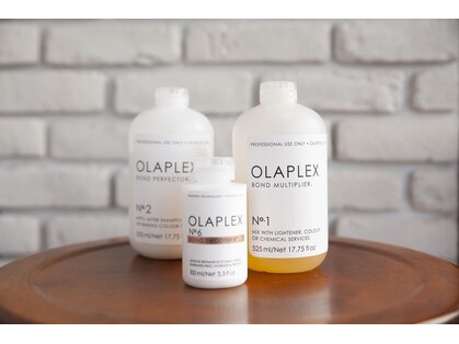 パームヘア(PALM HAIR)の写真