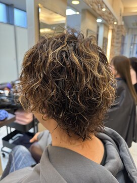 アルターリアン(aL ter LieN) ウルフ/アッシュブラック/カルマパーマ/ベリーショート宮野翔