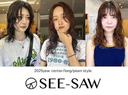 シーソー(SEE-SAW)の写真