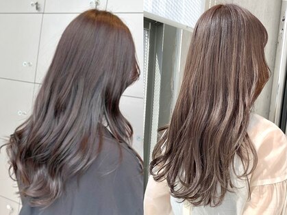 イマイセナ バイ コローレ(imaii scaena × colore)の写真