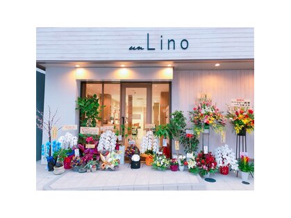 リノ(un Lino)の写真