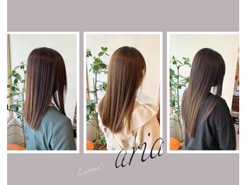 aria  野田阪神店 【アーリア】