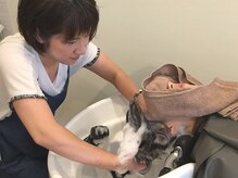 ヘアデザイン ロッコ