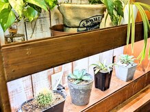 ヘアークルーズ(hair Cruz)の雰囲気(DIYの内装と植物、多めです)