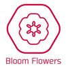 ブルームフラワーズ(BLOOM FLOWERS)のお店ロゴ