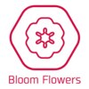 ブルームフラワーズ(BLOOM FLOWERS)のお店ロゴ