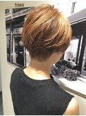 オレンジブラウンハンサムショート