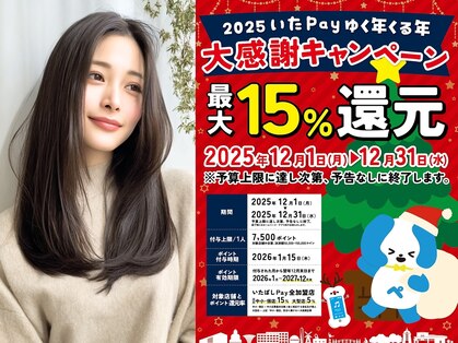 アフィー(A.F.Y.)の写真