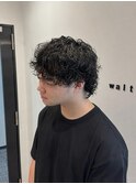動きの出るプードルウルフ